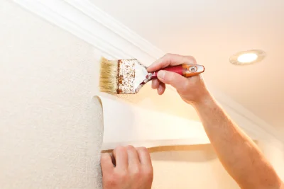 Pose de papier peint à Palneca — revêtements muraux et toiles de verre